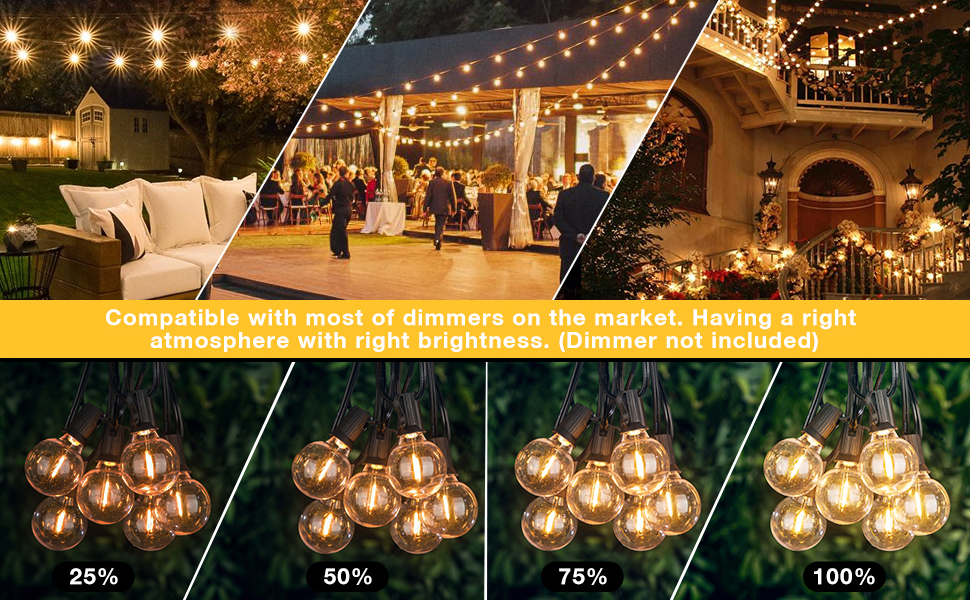 Dimmable String Lights G40