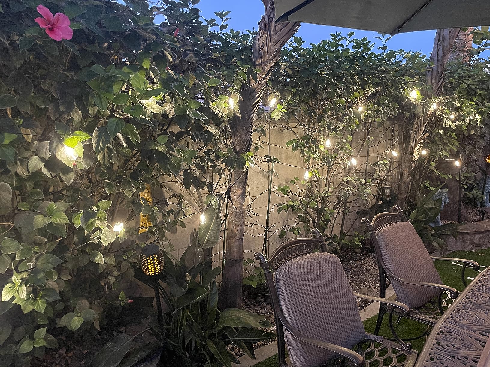 Yuncheng string light exporter