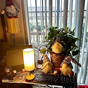 Yuncheng table lamp importer